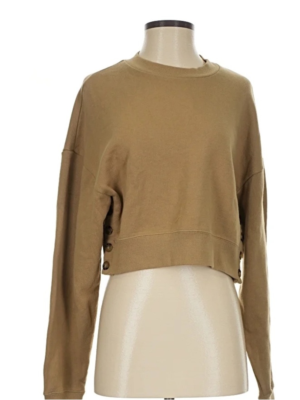 Amuse Society Cropped Crewneck Sweatshirt in Tan